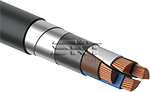 Кабели силовые в пластмассовой изоляции  СКТ Кабель